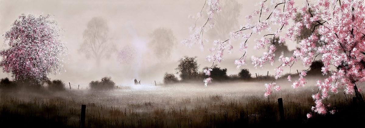 Through Dreamers Meadow